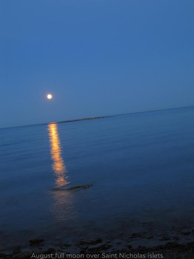 فيلا Alykes House Near The Sea أرتيميدا المظهر الخارجي الصورة
