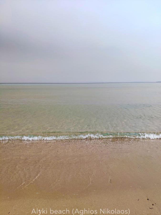 فيلا Alykes House Near The Sea أرتيميدا المظهر الخارجي الصورة