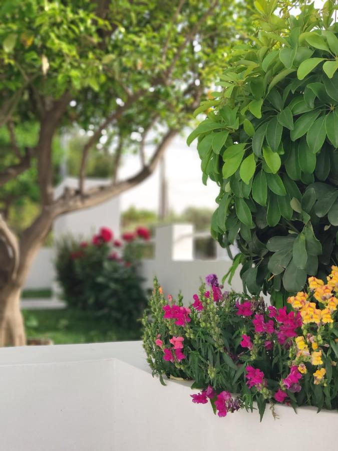 فيلا Alykes House Near The Sea أرتيميدا المظهر الخارجي الصورة